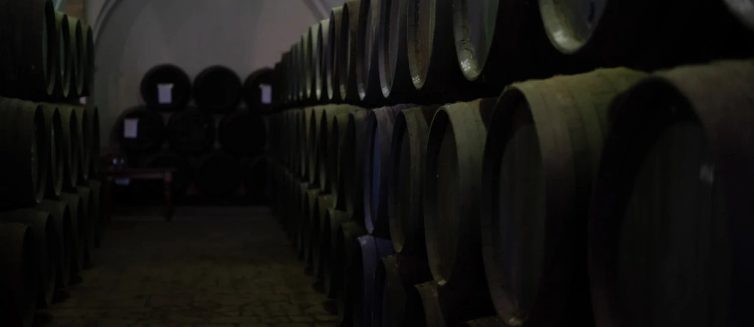 Bodega Palo Cortado 4 - Bodegas Arfe Jerez