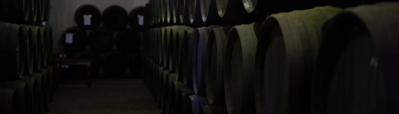 |VIDEO| Cata del Palo Cortado de la Cruz de 1767