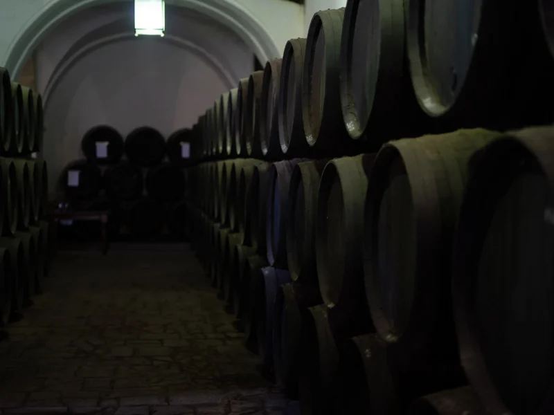 |VIDEO| Cata del Palo Cortado de la Cruz de 1767