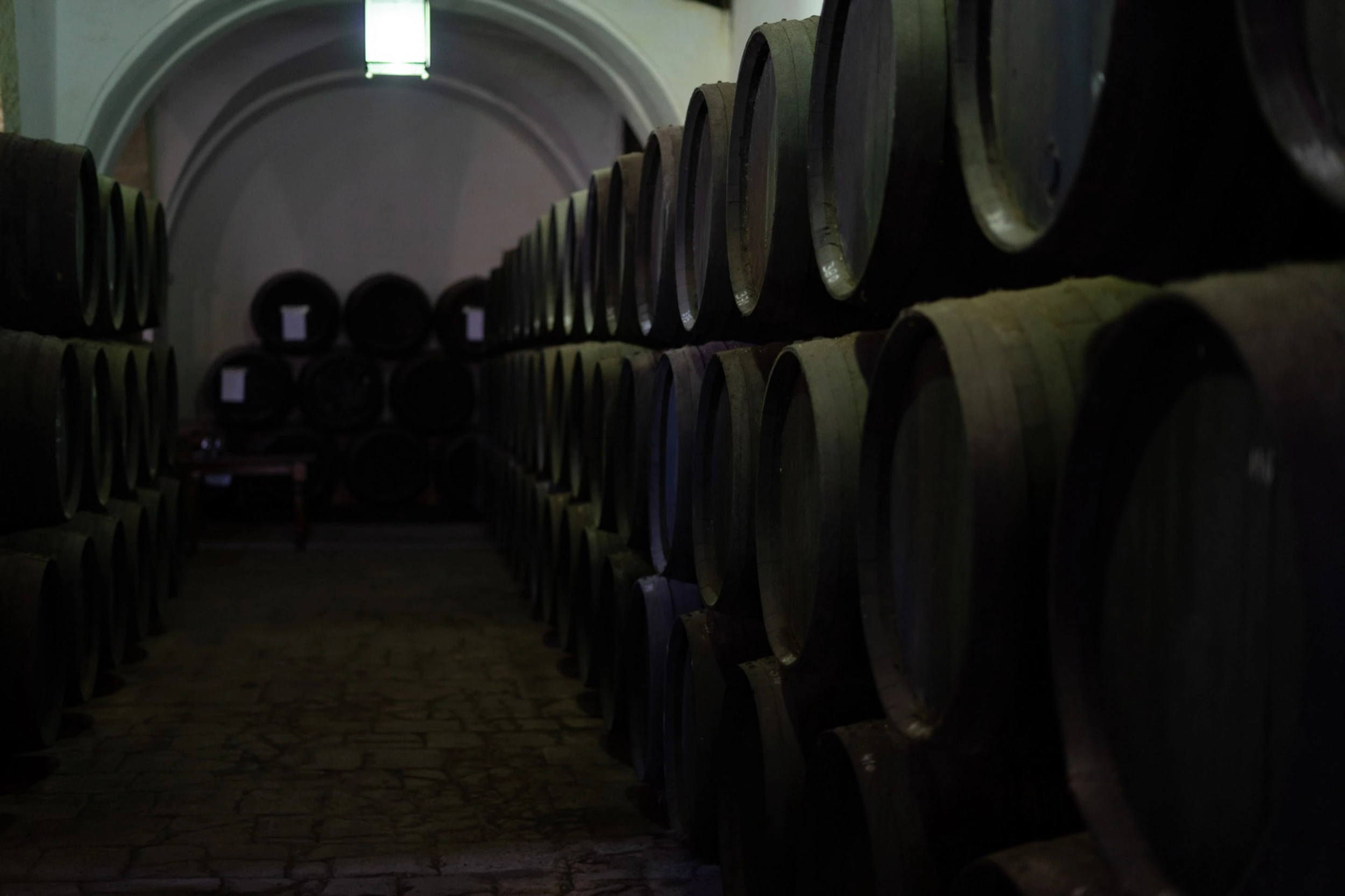 |VIDEO| Cata del Palo Cortado de la Cruz de 1767